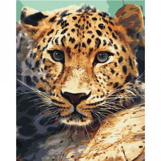Картина по номерам "Портрет леопарда" ★★★ MiC Украина 