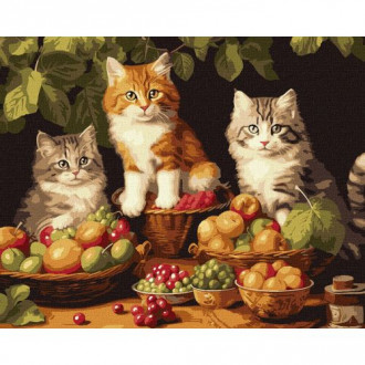Картина по номерам "Котики и фрукты" 40х50 см Ідейка Украина