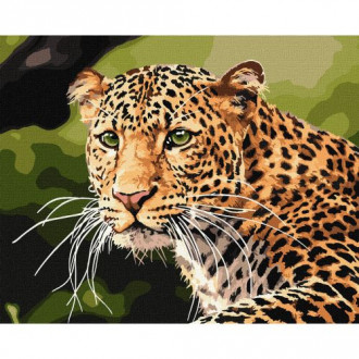 Картина по номерам "Зеленоглазый леопард" ★★★ Ідейка Украина