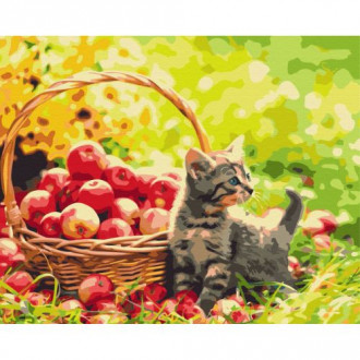 Картина по номерам "Яблочный котик" ★★★ MiC Украина 